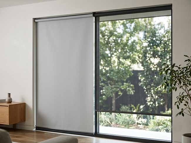 so sánh rèm cuốn trơn và rèm cuốn lưới